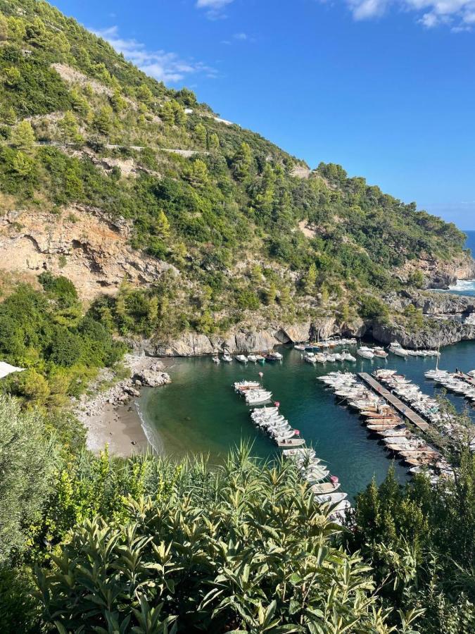 Casa Vacanze Nonna Sissi Apartment Maratea Bagian luar foto