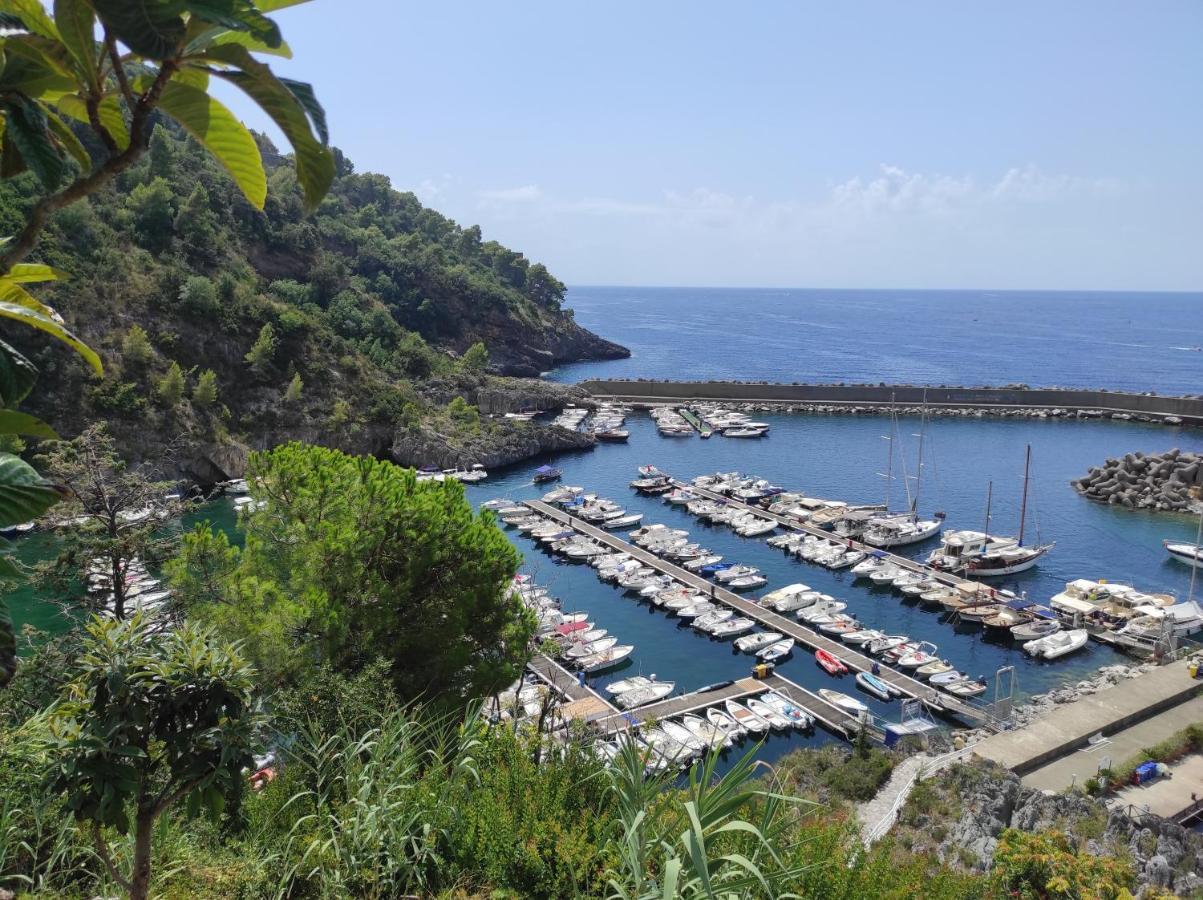 Casa Vacanze Nonna Sissi Apartment Maratea Bagian luar foto