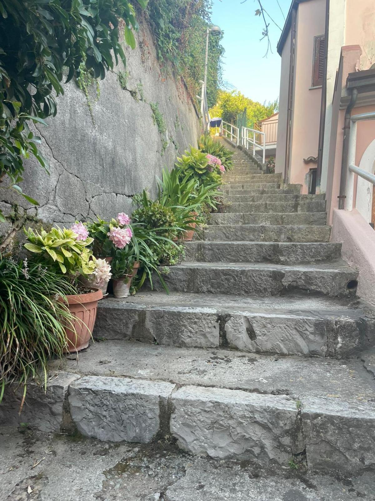 Casa Vacanze Nonna Sissi Apartment Maratea Bagian luar foto